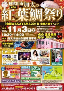 181103_momiji_taimaturi-1.jpg