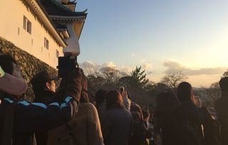 初日の出2018A.jpg
