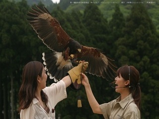 0104・0105タカフライトショー.jpg