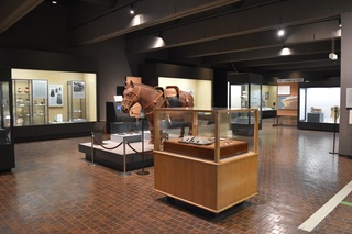 和歌山市立博物館常設展示室2021年.JPG