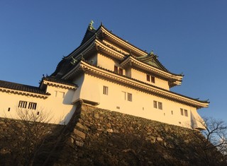 新年の和歌山城.jpg