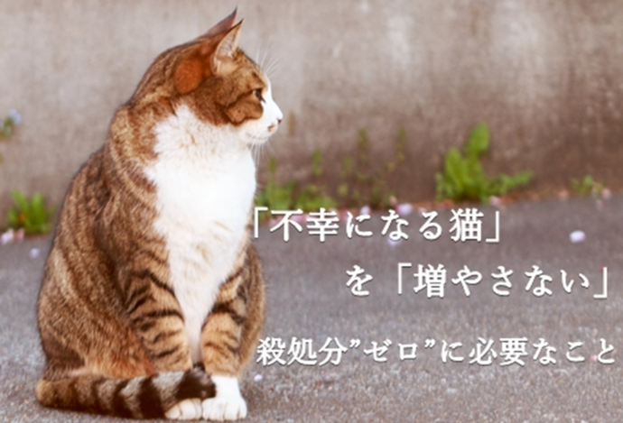 6 放送 和歌山市動物愛護センター 設置と 犬や猫の殺処分ゼロを目指して 寄附金募集 ゲンキ 和歌山市